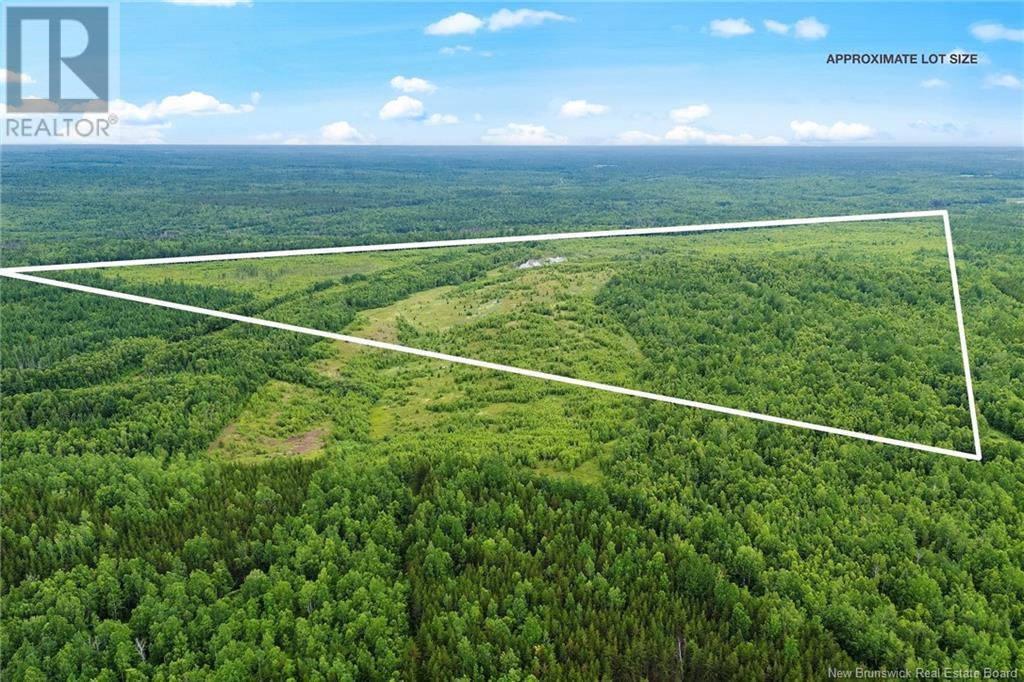 Lot Post Road, Midland, New Brunswick  O0O 0O0 - Photo 6 - NB123493