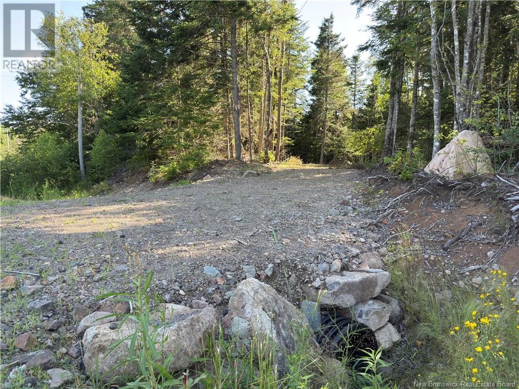 Lot 94-2 Grove Hill Road, Grove Hill, New Brunswick  E5N 4R2 - Photo 2 - NB123261
