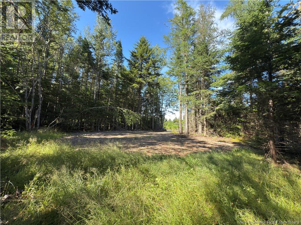 Lot 94-2 Grove Hill Road, Grove Hill, New Brunswick  E5N 4R2 - Photo 4 - NB123261