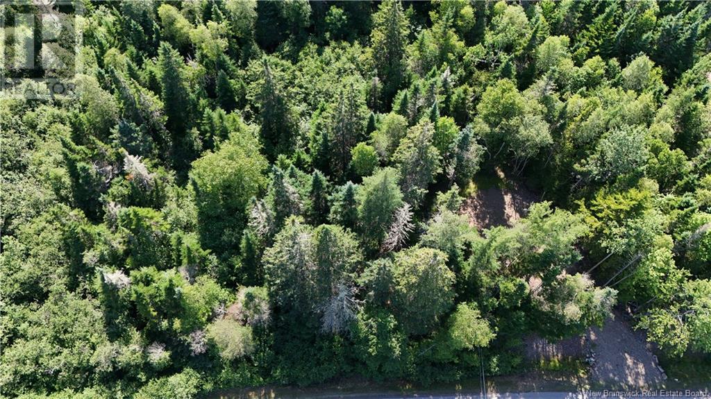 Lot 94-2 Grove Hill Road, Grove Hill, New Brunswick  E5N 4R2 - Photo 5 - NB123261