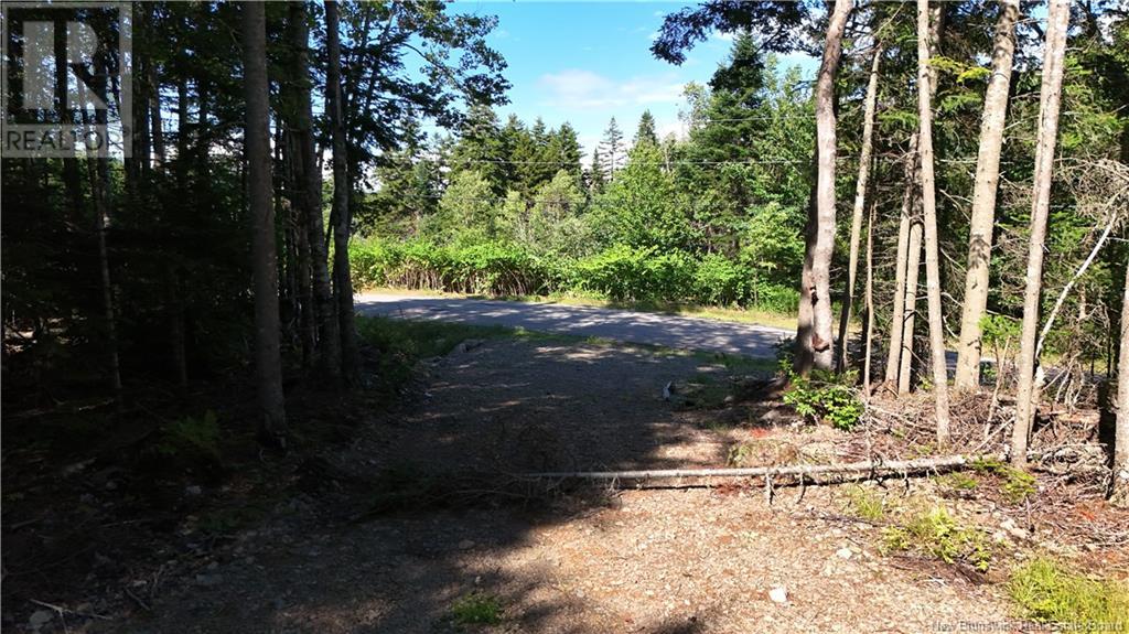 Lot 94-2 Grove Hill Road, Grove Hill, New Brunswick  E5N 4R2 - Photo 7 - NB123261