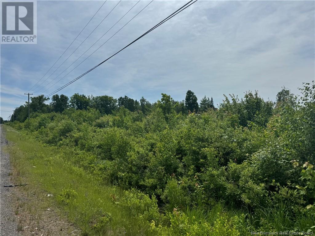 Vacant Lot Rte 126 Hwy Barnaby, Murray Settlement, New Brunswick  E4Y 2T7 - Photo 2 - NB121876
