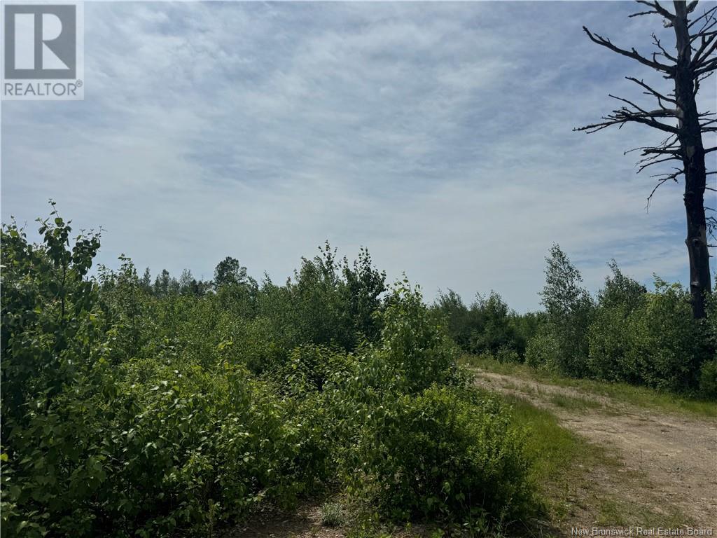 Vacant Lot Rte 126 Hwy Barnaby, Murray Settlement, New Brunswick  E4Y 2T7 - Photo 6 - NB121876