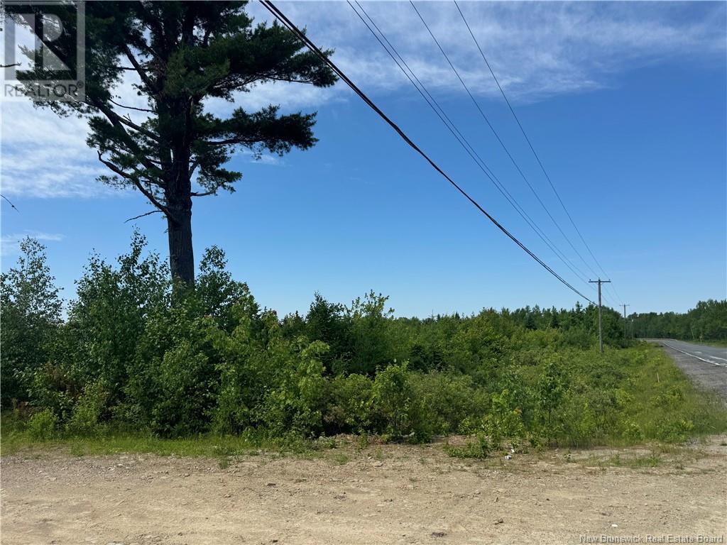 Vacant Lot Rte 126 Hwy Barnaby, Murray Settlement, New Brunswick  E4Y 2T7 - Photo 8 - NB121876