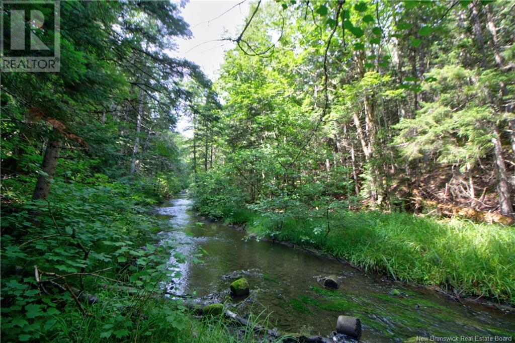 6 Howard Road, Balla Philip, New Brunswick  E4W 3T1 - Photo 7 - NB123519