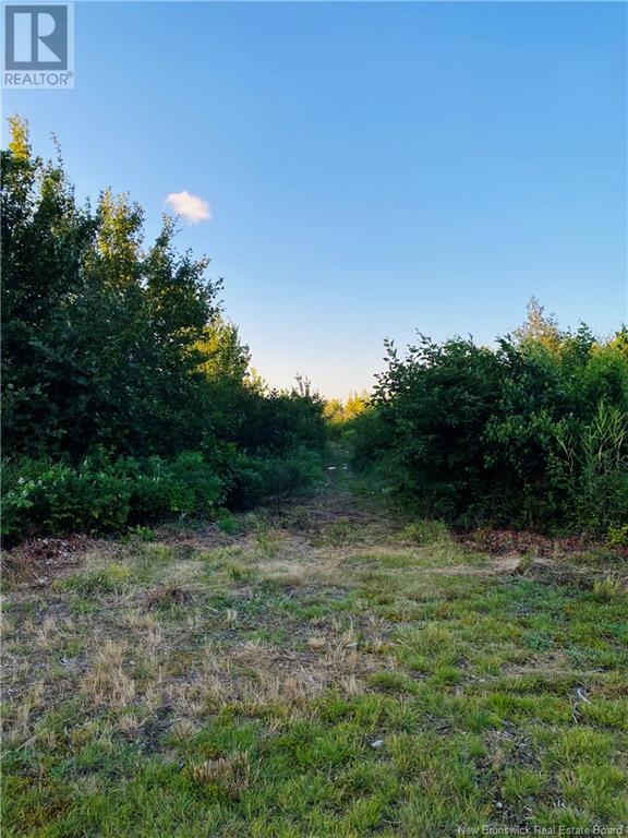Point-Aux-Carr Road, Napan, New Brunswick  E1N 5A1 - Photo 5 - NB123469