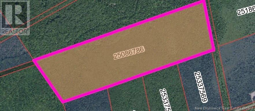 Vacant Lot Rte 465 Beersville, Beersville, New Brunswick  E4T 2N8 - Photo 2 - NB123435
