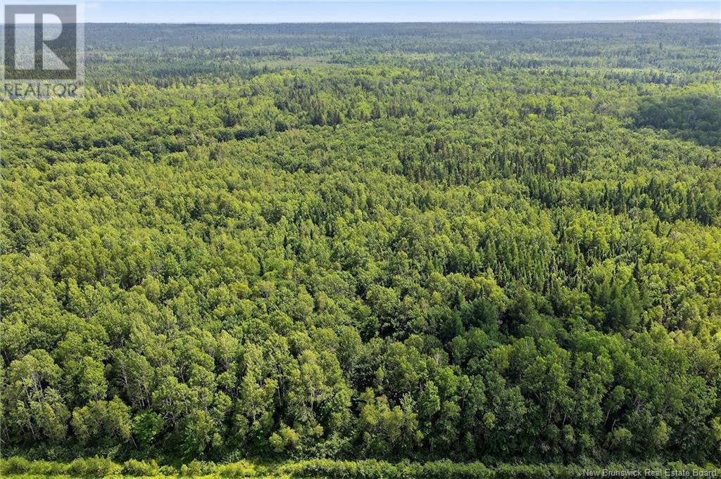 Lot Salmon River Road, Harcourt, New Brunswick  E4T 3W8 - Photo 5 - NB123629