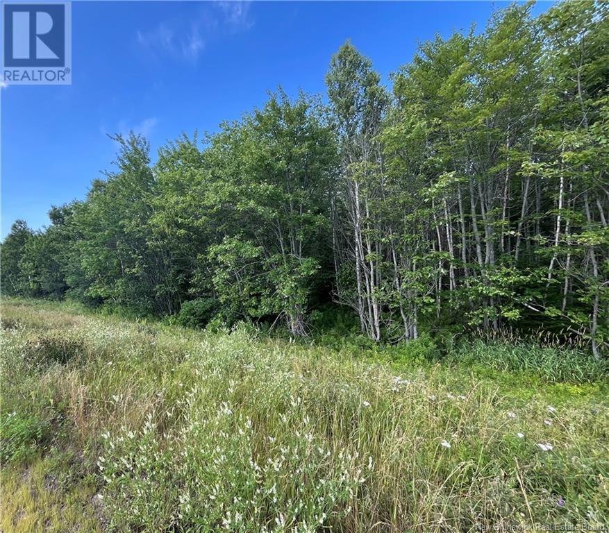 Hwy 15 Acadie Road, Cap-Pelé, New Brunswick  E4N 1C4 - Photo 2 - NB123564