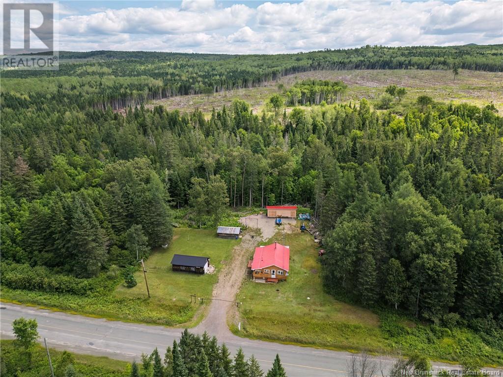 3782 Route 385, Nictau, New Brunswick  E7G 3B4 - Photo 3 - NB123553