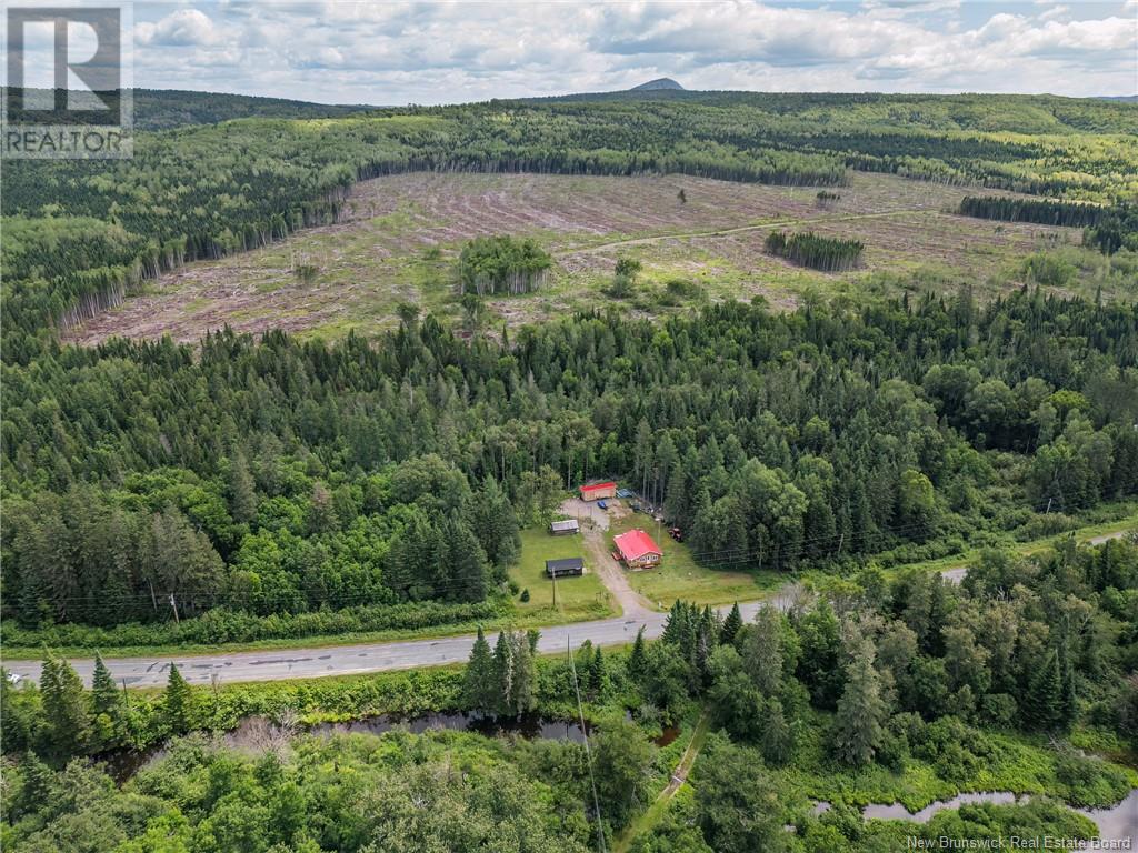 3782 Route 385, Nictau, New Brunswick  E7G 3B4 - Photo 9 - NB123553