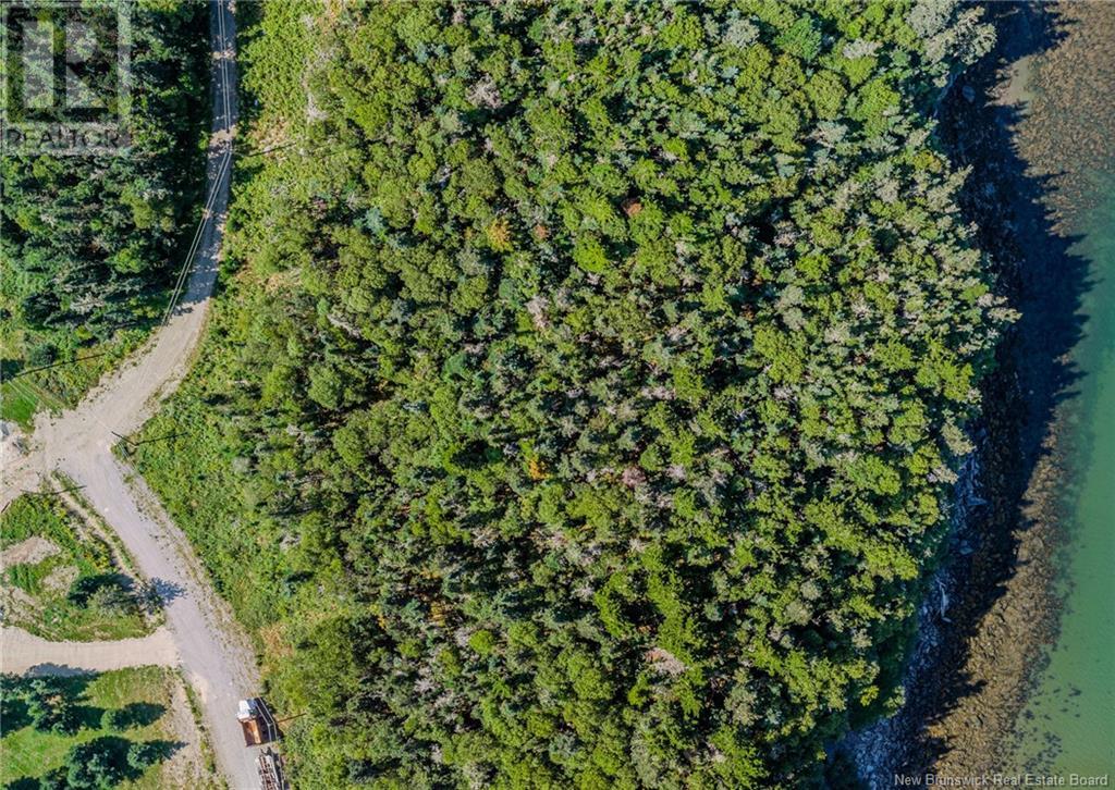 Lot Connoly Head Road, Saint John, New Brunswick  E2J 4W8 - Photo 3 - NB123522