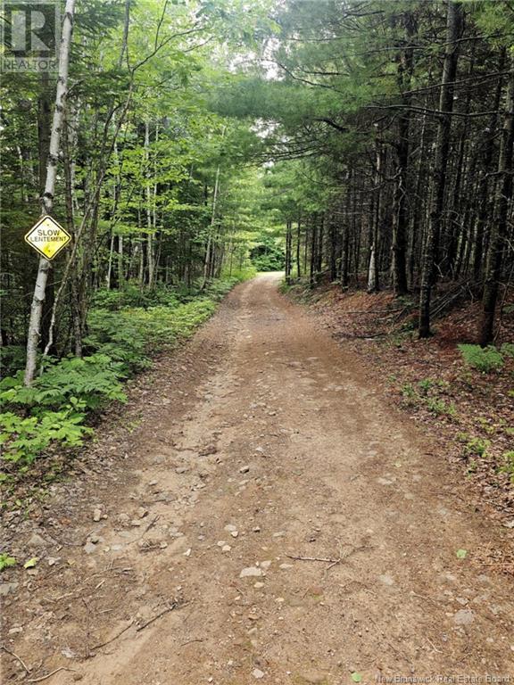 Lot 34 Off Green Road, Elgin, New Brunswick  E4Z 6L4 - Photo 12 - NB123658