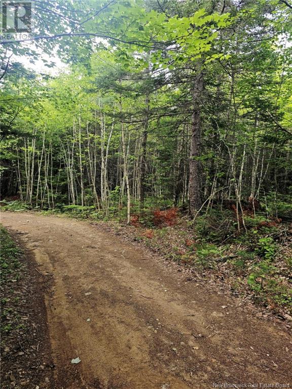 Lot 34 Off Green Road, Elgin, New Brunswick  E4Z 6L4 - Photo 13 - NB123658