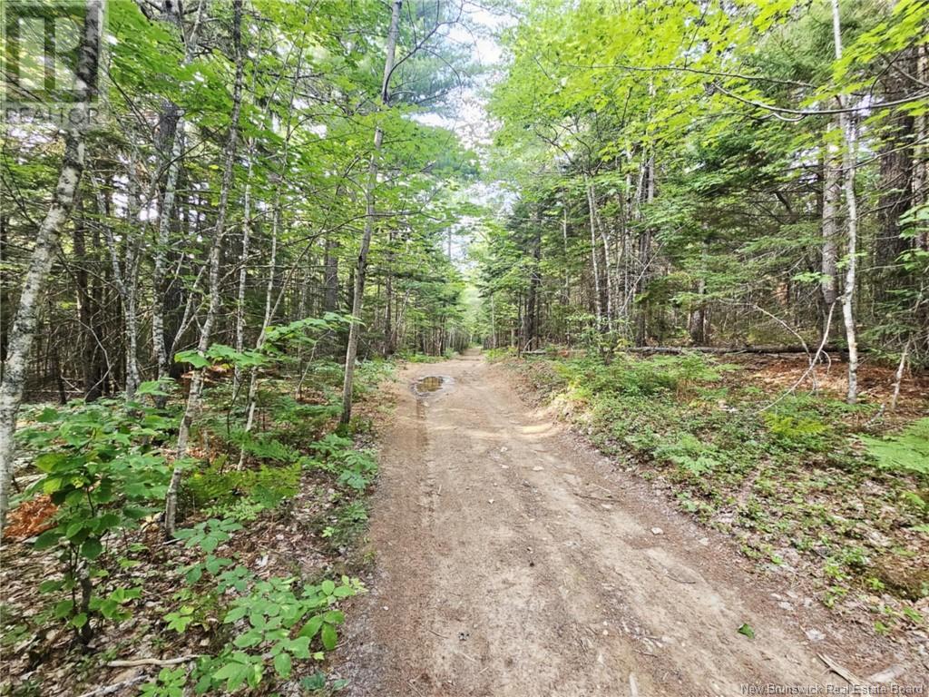 Lot 34 Off Green Road, Elgin, New Brunswick  E4Z 6L4 - Photo 14 - NB123658
