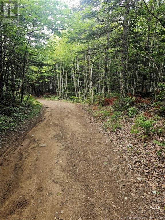 Lot 34 Off Green Road, Elgin, New Brunswick  E4Z 6L4 - Photo 17 - NB123658