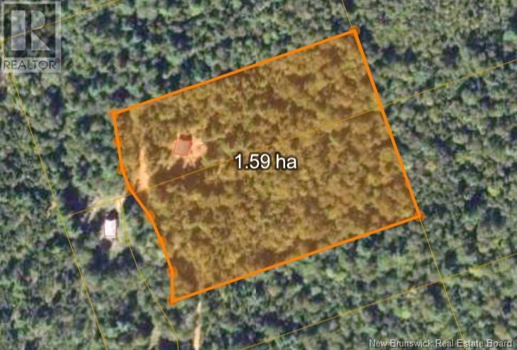 Lot 34 Off Green Road, Elgin, New Brunswick  E4Z 6L4 - Photo 21 - NB123658