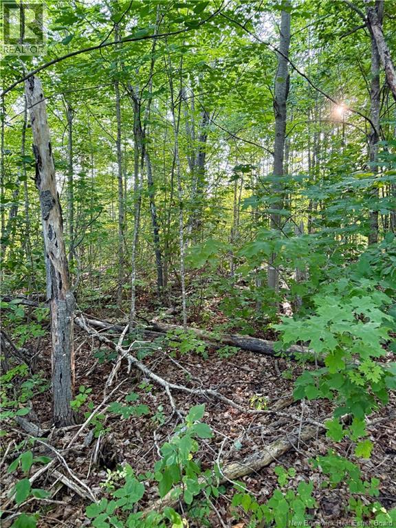 Lot 16-1 Route 105, Northampton, New Brunswick  E7N 1G1 - Photo 10 - NB123562