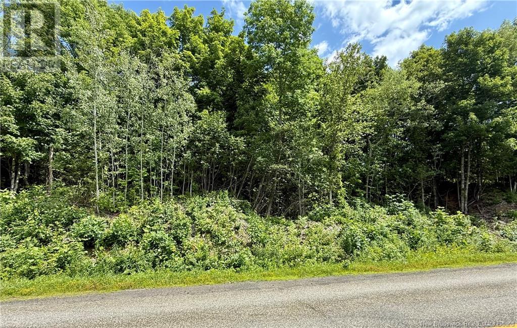 Lot 16-1 Route 105, Northampton, New Brunswick  E7N 1G1 - Photo 2 - NB123562