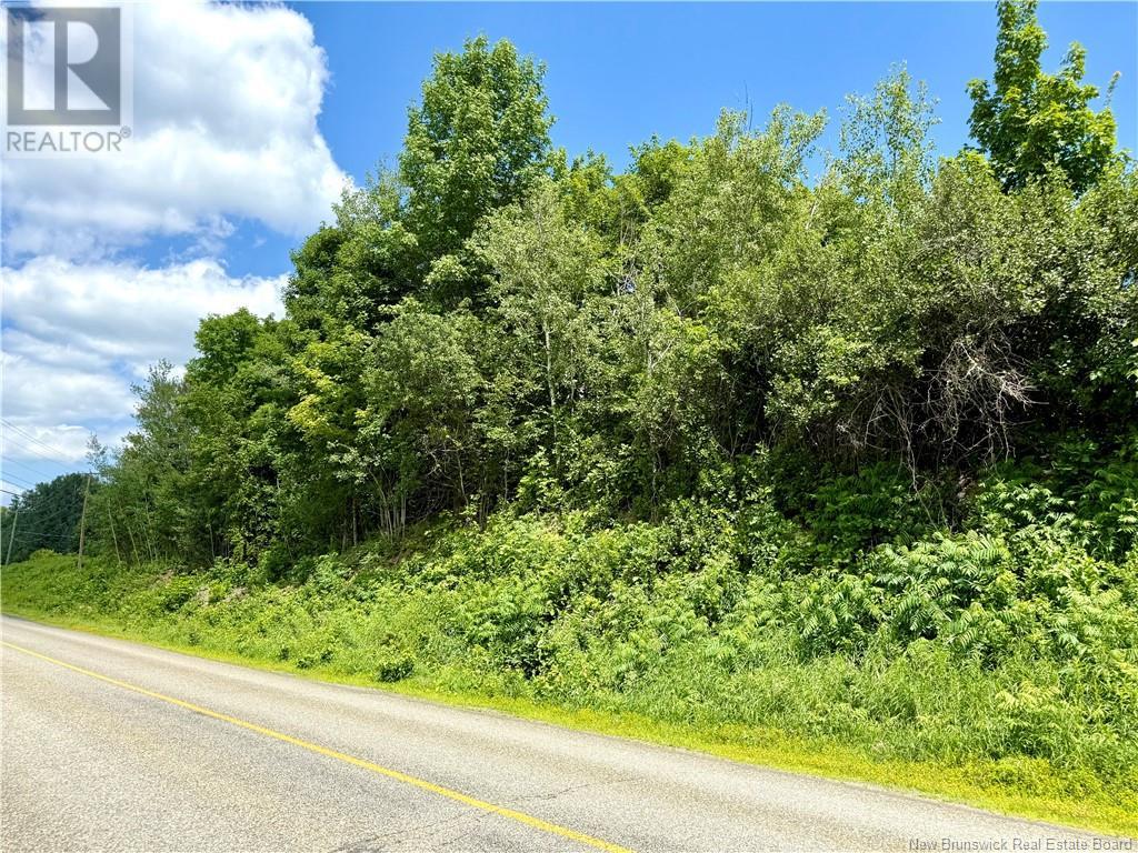 Lot 16-1 Route 105, Northampton, New Brunswick  E7N 1G1 - Photo 3 - NB123562