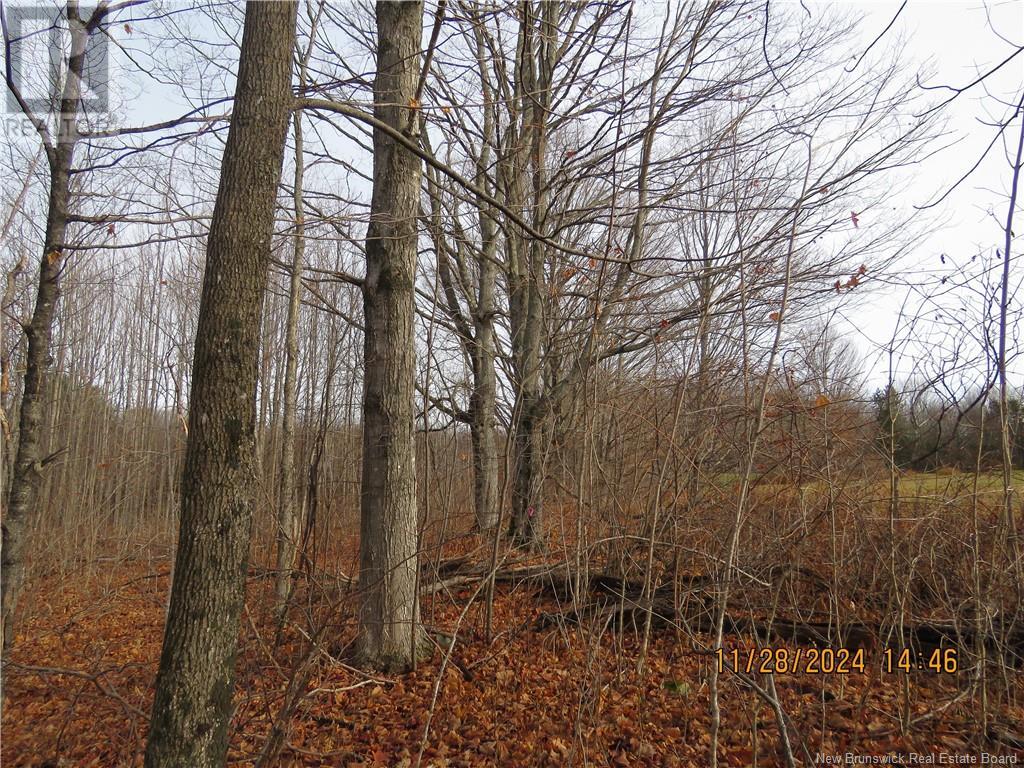 Lot 16-1 Route 105, Northampton, New Brunswick  E7N 1G1 - Photo 6 - NB123562