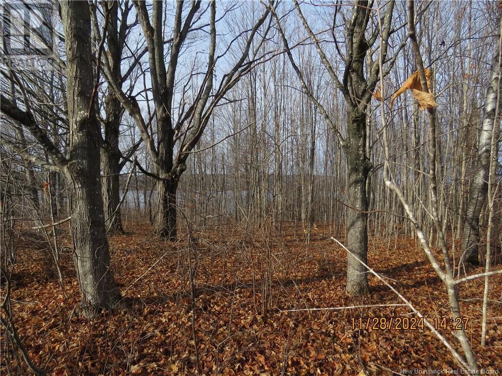 Lot 16-1 Route 105, Northampton, New Brunswick  E7N 1G1 - Photo 7 - NB123562
