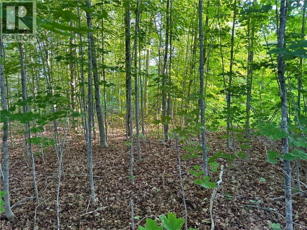 Lot 16-1 Route 105, Northampton, New Brunswick  E7N 1G1 - Photo 8 - NB123562