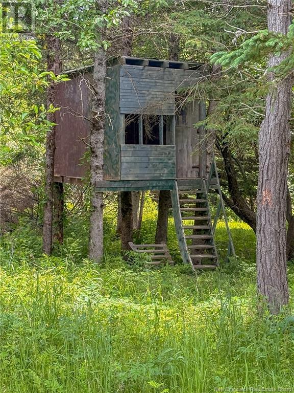 44 Jones Forks Road, Burtts Corner, New Brunswick  E6L 2R1 - Photo 27 - NB121565
