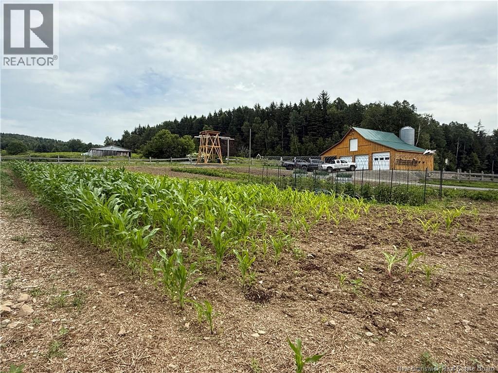 338 Glenburn Road, Carlingford, New Brunswick E7H 2E4 - Photo 43 - NB123699