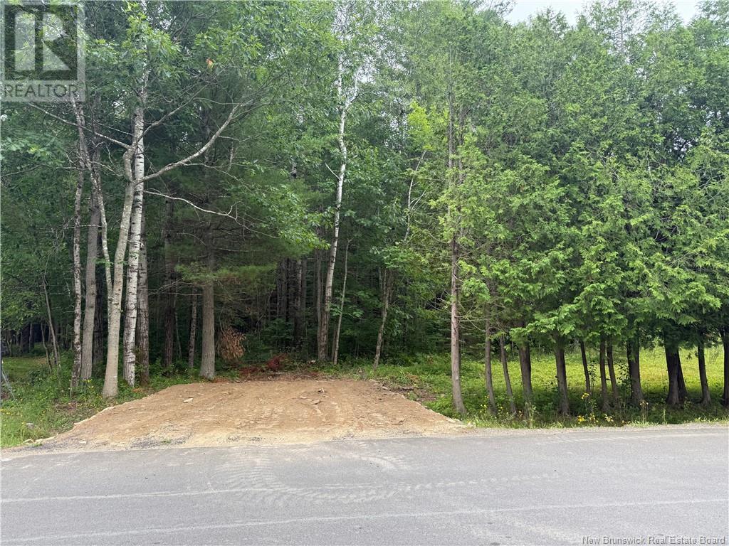 Lot Hill Street, Minto, New Brunswick  E4B 3N3 - Photo 6 - NB123728
