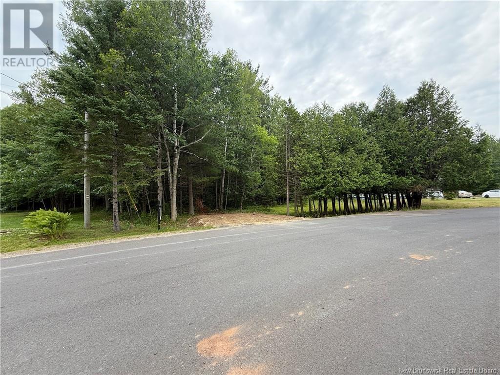 Lot Hill Street, Minto, New Brunswick  E4B 3N3 - Photo 7 - NB123728