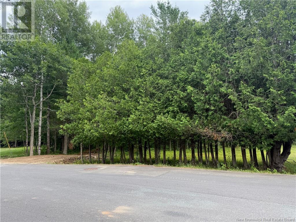 Lot Hill Street, Minto, New Brunswick  E4B 3N3 - Photo 8 - NB123728