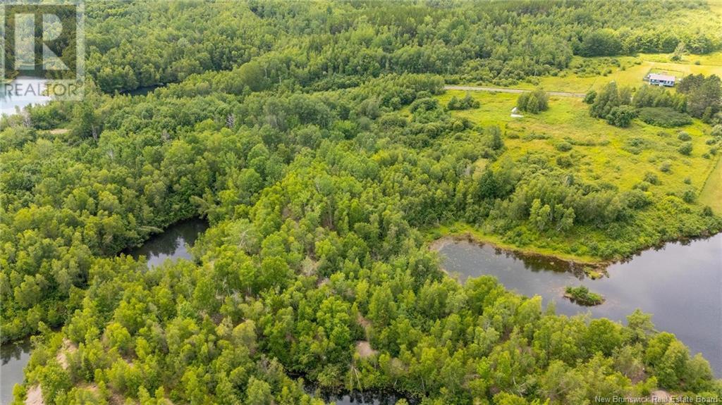 41 Mcallister Road, Iron Bound Cove, New Brunswick  E4A 1T5 - Photo 13 - NB123224