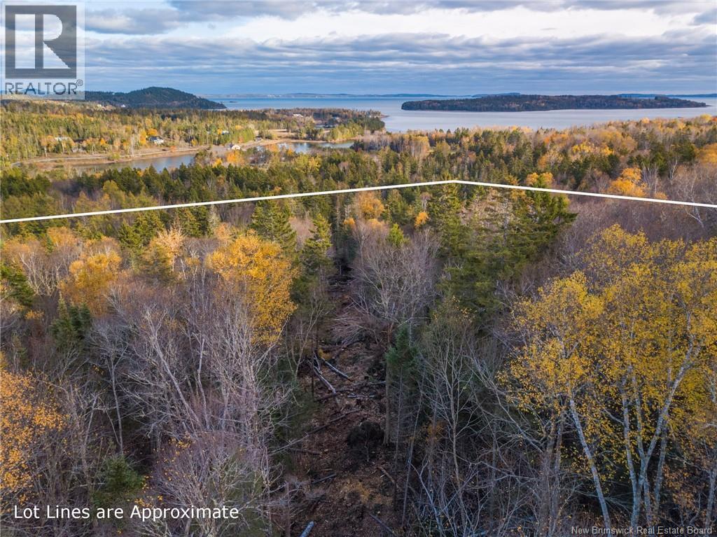 Land Chamcook Lake No 1 Road, Chamcook, New Brunswick E5B 2Z4 - Photo 17 - NB123802