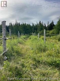 637 Route 825, Garnett Settlement, New Brunswick  E2S 1T6 - Photo 31 - NB122529