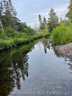 637 Route 825, Garnett Settlement, New Brunswick  E2S 1T6 - Photo 32 - NB122529