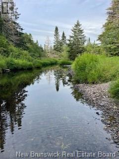 637 Route 825, Garnett Settlement, New Brunswick  E2S 1T6 - Photo 33 - NB122529