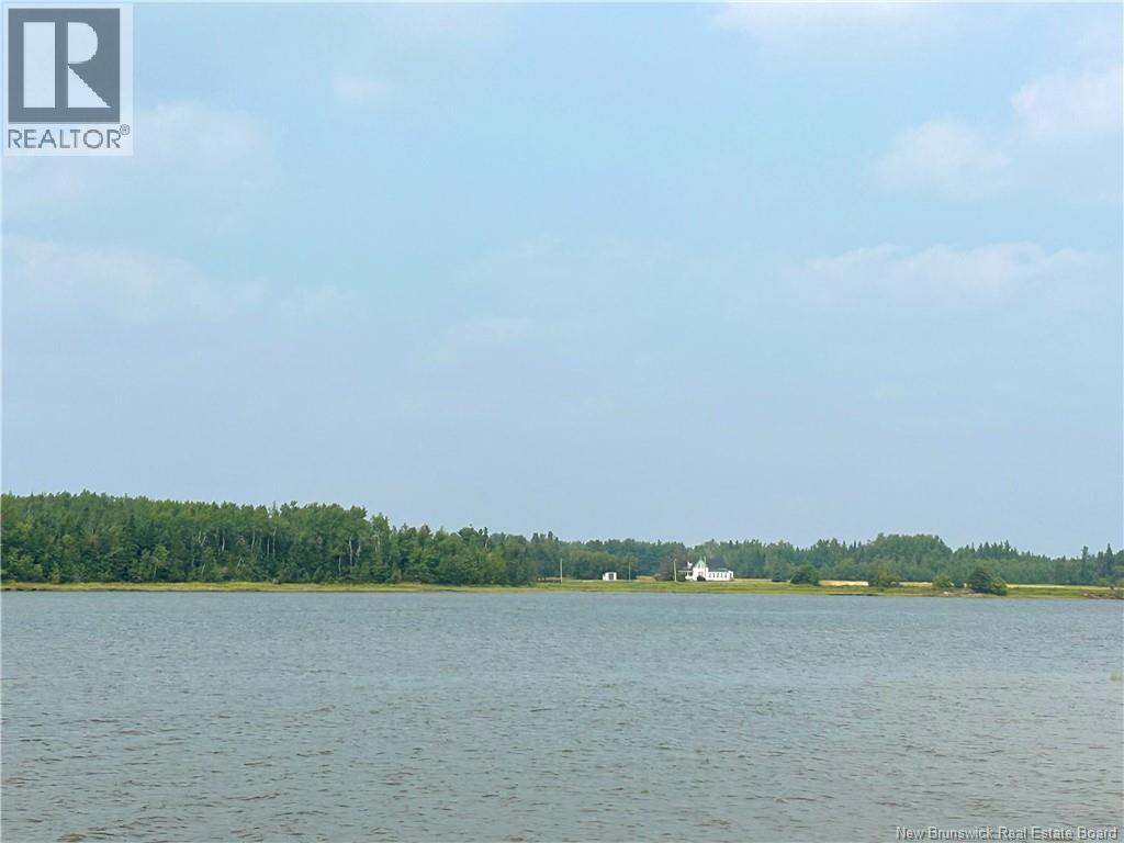 39.85 Acres Point Aux Carr Road, Napan, New Brunswick  E1N 4X8 - Photo 3 - NB123803