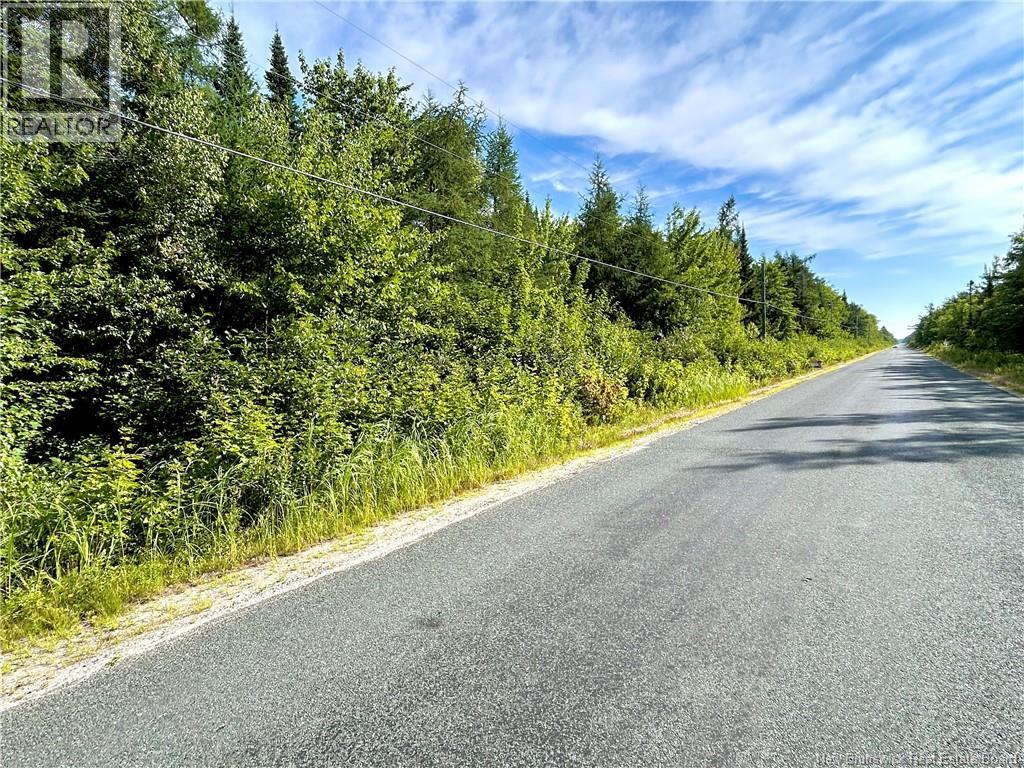 39.85 Acres Point Aux Carr Road, Napan, New Brunswick  E1N 4X8 - Photo 4 - NB123803