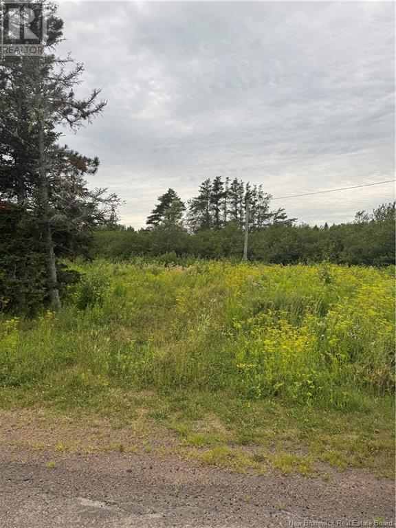 0 Collins Lake Road, Shemogue, New Brunswick  E4N 2M5 - Photo 1 - NB123698