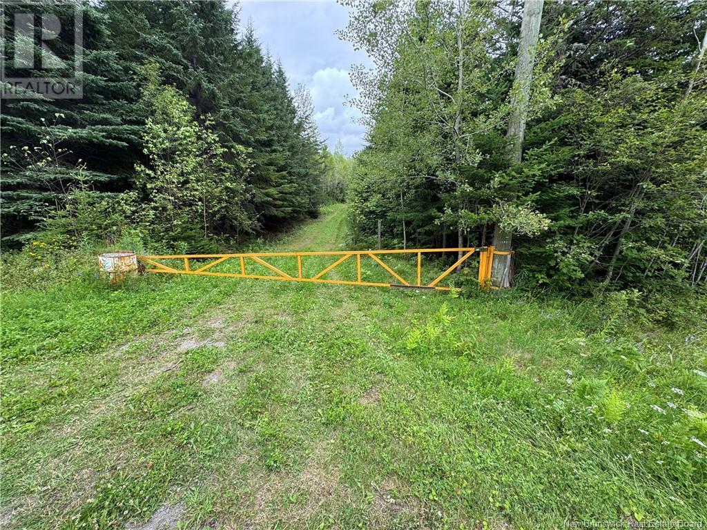 Lot 0 Route 380, Bell Grove, New Brunswick