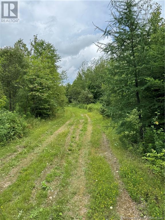 Lot 0 Route 380, Bell Grove, New Brunswick  E7G 4E3 - Photo 10 - NB123835