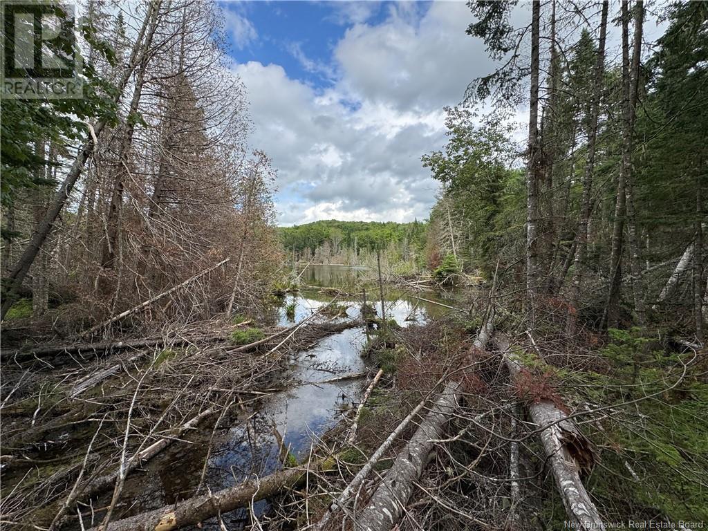 Lot 0 Route 380, Bell Grove, New Brunswick  E7G 4E3 - Photo 5 - NB123835