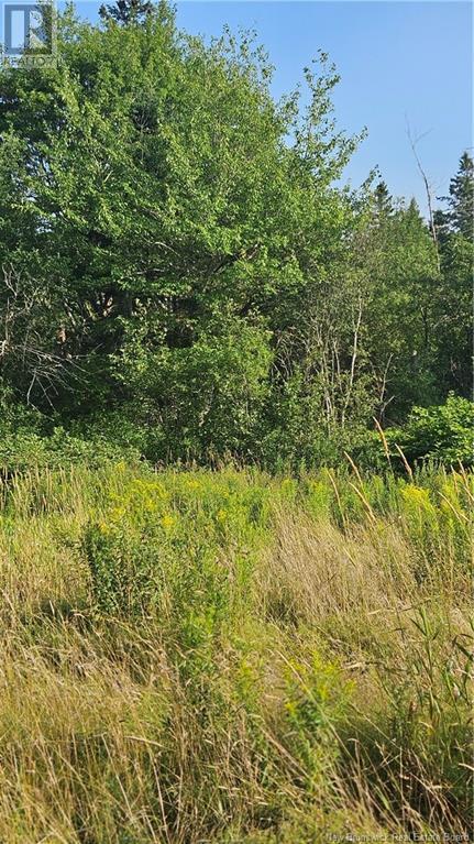 940 Route, Midgic, New Brunswick  E4L 1X1 - Photo 11 - NB123856