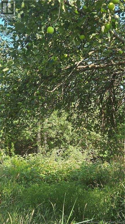 940 Route, Midgic, New Brunswick  E4L 1X1 - Photo 13 - NB123856