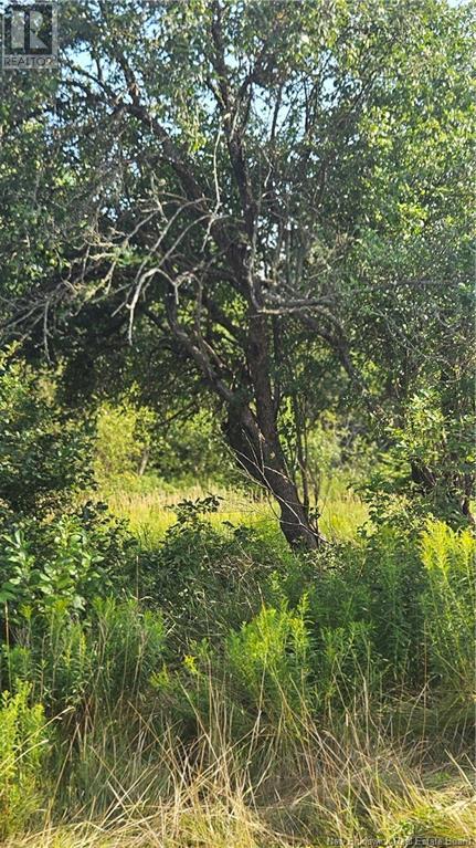 940 Route, Midgic, New Brunswick  E4L 1X1 - Photo 15 - NB123856