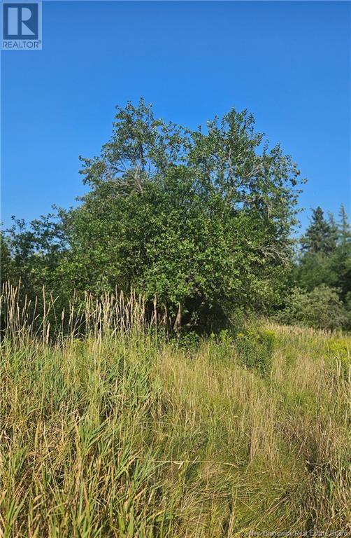 940 Route, Midgic, New Brunswick  E4L 1X1 - Photo 17 - NB123856