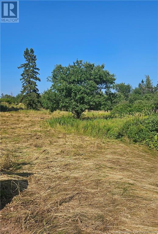 940 Route, Midgic, New Brunswick  E4L 1X1 - Photo 2 - NB123856