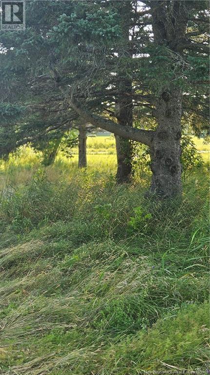 940 Route, Midgic, New Brunswick  E4L 1X1 - Photo 3 - NB123856