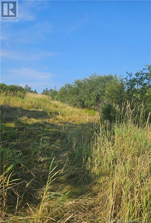 940 Route, Midgic, New Brunswick  E4L 1X1 - Photo 5 - NB123856